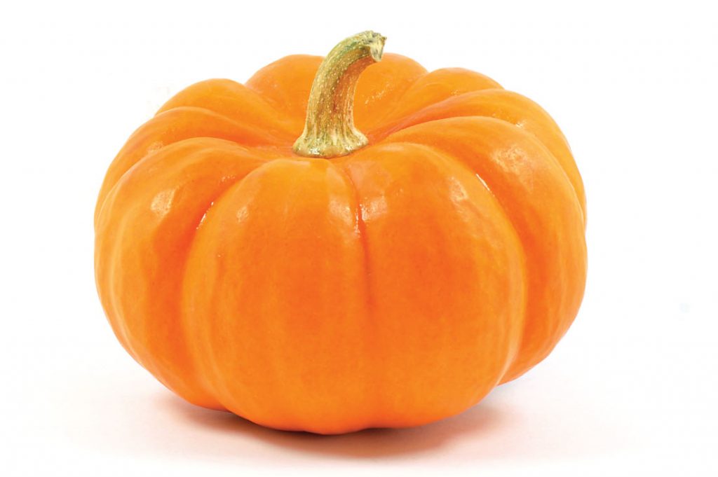 pumpkin